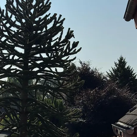 Gemuetliche Mit Eigenem Eingang Am Speldorfer Wald 아파트