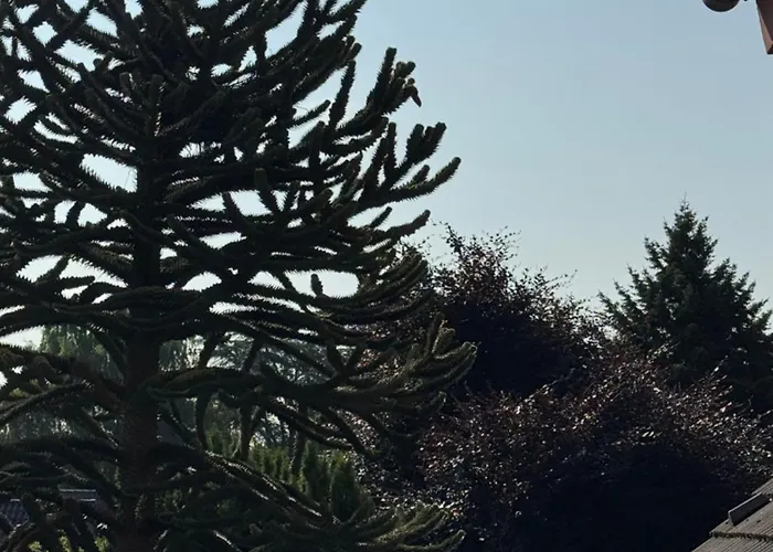 Gemuetliche Mit Eigenem Eingang Am Speldorfer Wald 公寓